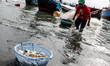 Local fishermen were seen active in the Traditional Fishing Place in Lhokseumawe, Aceh pro...
