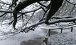 Snow falls in Paris on the Jardin des Plantes and the National Museum of Natural History i...