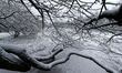 Snow falls in Paris on the Jardin des Plantes and the National Museum of Natural History i...