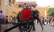 'Colorful Indian Elephant walking towards Amber Palace in Jaipur. Tourists riding on on th...