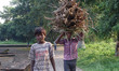 Pictures of diverse faces and people in India, representing the daily life in the region o...