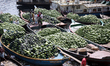 Boats packed with watermelons reach Dhaka's Badamtali terminal, later than usual, increasi...