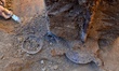 Archaeologists uncover haul of ancient gold jewellery at a Thracian tomb in Sveshtari, Bul...