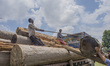 Kashmiri lumberjacks  load tree logs onto a logging truck at Timber Transport Range on Jul...