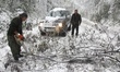 People try to clear the road from broken threes near the town of Veliko Tarnovo, Saturday,...