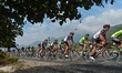 Valerio Conti (Right) of UAE Team Emirates Peloton in action during the fifth stage - the...