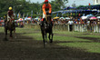 Some jockeys spur speed horse in Horse Racing championship trophy Sri Sultan Hamengkubuwon...