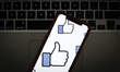 The Facebook like logo is seen on a portable mobile device in this photo illustration on J...