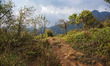 Fansipan mountain in Vietnam with the highest peak reaching 3143 metres high. It is the hi...