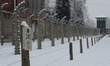 A view of electric fences from the Auschwitz I camp. Oświęcim, Poland. 26 January 2015. Pi...