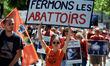 A woman hold a placard reading 'Let's us close slaughterhouses' during a die-in. More than...