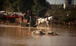 Palestinian Bedouins ride a cart on a road that is flooded after Israel opened the gates o...