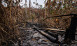 PARA, BRAZIL, 31/08/2019 -  Amazon forest area is burned in rural Novo Progresso, in Para,...
