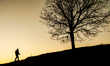 A man is seen walking on a field during Sunset over the Bulgarian small village of Rani Li...