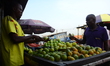 A man buy fruits from a local vendor, after Nigerian Supreme Council for Islamic Affairs h...