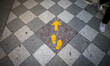 New direction signs to walk on the sidewalk main downtown streets on the first day that Gr...