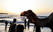 Palestinians enjoy a sunny day during sunset on the beach of Gaza City, Friday, on June 12...