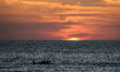 A boat sailing at sunset off Gaza City, Friday, on June 12, 2020. amid concerns about the...