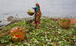 An old lady was trying to find eatable vegetable amid rotten vegetable in Sadarghat, Dhaka...