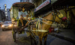 A man drives a horse-drawn carriage used as a mode of transportation in Manila, Philippine...