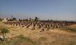 Kashmiri youth appearing in a written test during an Border Security Forces (BSF) and CISF...