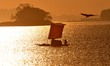 Fishermen paddle their boat in the waters of Brahmaputra River after selling their catch a...