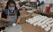 A worker from the JJL Esferas Navideñas cooperative, decorating handmade glass blown Chris...
