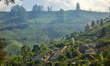Village seen homes alongside hills covered with tea plants in Munnar, Idukki, Kerala, Indi...