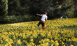 A young boy enjoys walking in a flower field in Stuttgart, Germany on March 31, 2021 