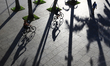 People cycle and walk amongst the shadow cast by trees on June 16, 2021 in Singapore. On J...