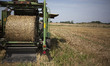 Harvested bales seen near Krynki on August 14, 2021. 