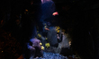General view of the Aquarium of the Lisbon Oceanarium, on August 30, 2021 in Lisbon, Portu...