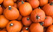Pumpkins outside a store during the Autumn season in Markham, Ontario, Canada, on October...