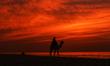 A Palestinian man rides his camel in front of Gaza Beach During Sunset, on November 13, 20...