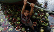 A street boy searching eatable watermelons from the polluted and filthy Buriganga River. B...