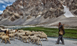 Gujjar shepherd leads a large flock of sheep and goats along a mountain pass in Matayin, L...