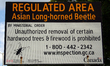 Sign warning Ontario residents that this is a regulated area in which the Asian Long-Horne...
