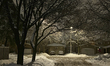 Trees covered with snow and ice as snow covered the city of  Toronto, Ontario, Canada, on...