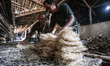 Workers packed Mie Lethek noodles made from tapioca flour at traditional noodle factory in...