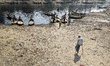 A man goes to cross the dried-up, polluted Buriganga river on March 13, 2022, in Dhaka, Ba...