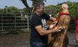 A farmer brushes the neck of his cow that will participate in one of the contests and auct...