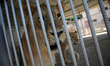 A lion and a lioness are seen  at nama zoo in Gaza city on July 20, 2022. 