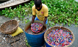 Worker washes recycled plastic chips in the river Buriganga in Dhaka, Bangladesh, on Sept...