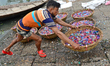 Worker washes recycled plastic chips in the river Buriganga in Dhaka, Bangladesh, on Sept...