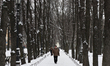 A man walks in a city park after snowfall in St Petersburg, Russia on January 4, 2016. 