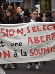 Students demonstrate against the Vidal's law in Toulouse