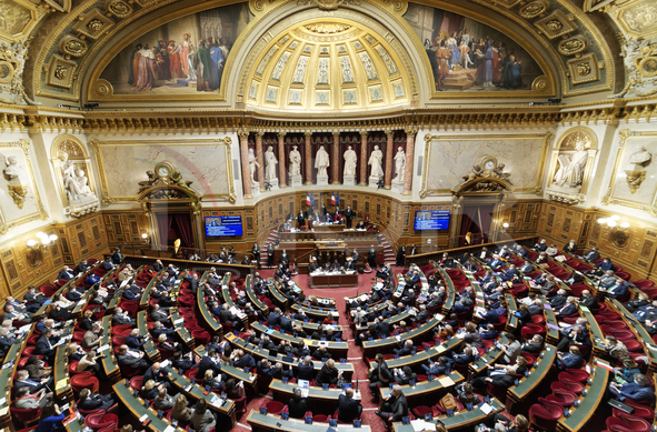 Session Of Questions To The Government At The French Senate