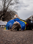 Protest for Ukraine at the White House