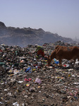 INDIA-ENVIRONMENT-POLLUTION
