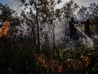 Peatland Fires In South Sumatra
